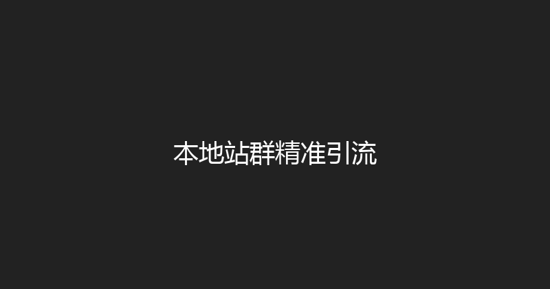 本地站群精准引流 封面图