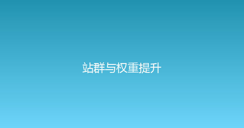 站群与权重提升 封面图